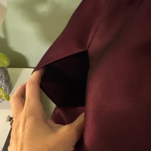 Kate Spade Pink and Burgundy Fit and Flare - Picture 6 of 8